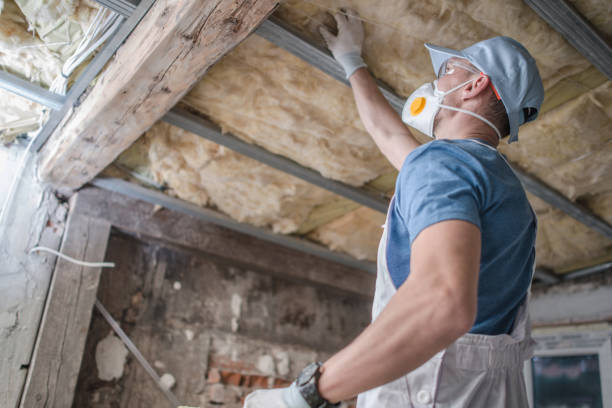 Insulation Inspection Services in Mayville, NY