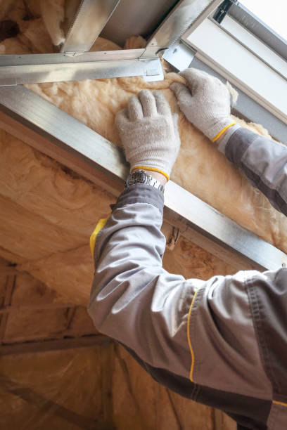 Best Cellulose Insulation  in Mayville, NY