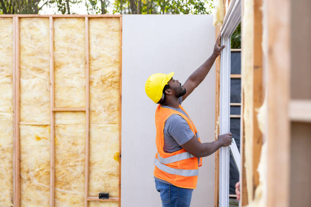 Best Insulation Inspection Services  in Mayville, NY