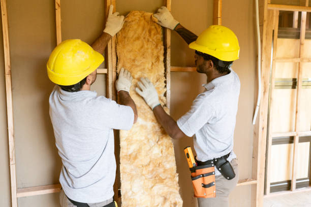 Best Energy-efficient Insulation  in Mayville, NY