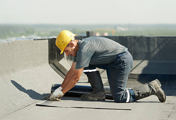Best Insulation Replacement Services  in Mayville, NY