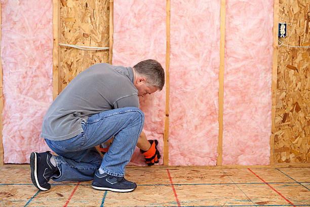 Insulation Repair Services in Mayville, NY