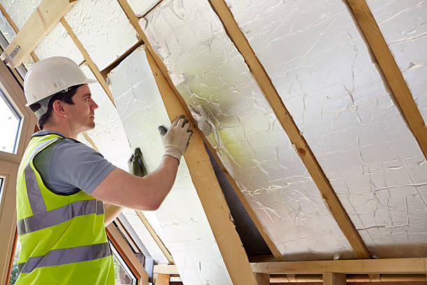 Best Blown-in Insulation  in Mayville, NY
