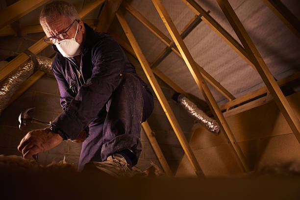 Best Blown-in Insulation  in Mayville, NY